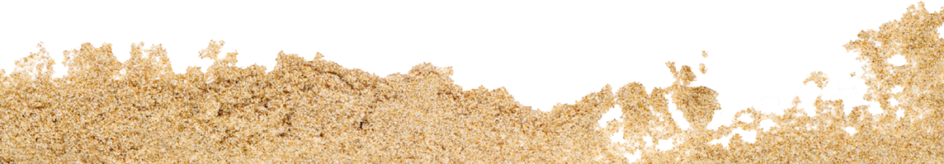sand-2 sand-2